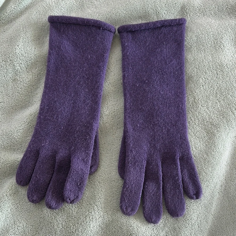 Echo Soft Elegant Purple Knit Gloves